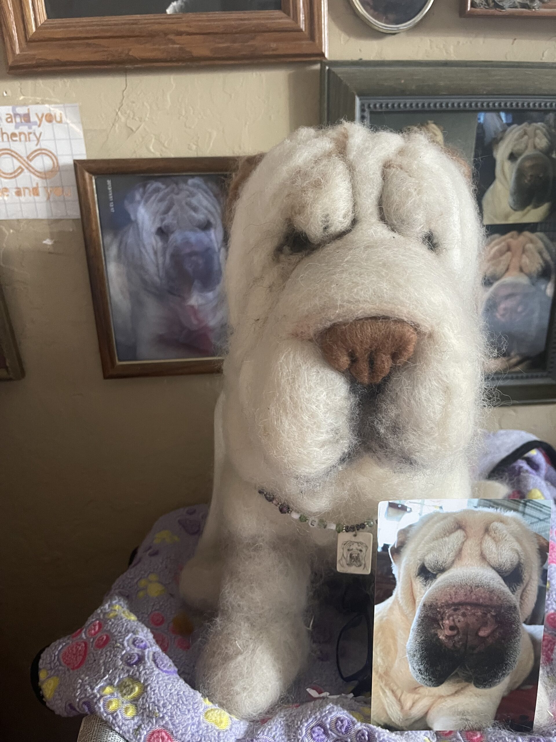 Melinda & Henry - Vendors - IMG_8149