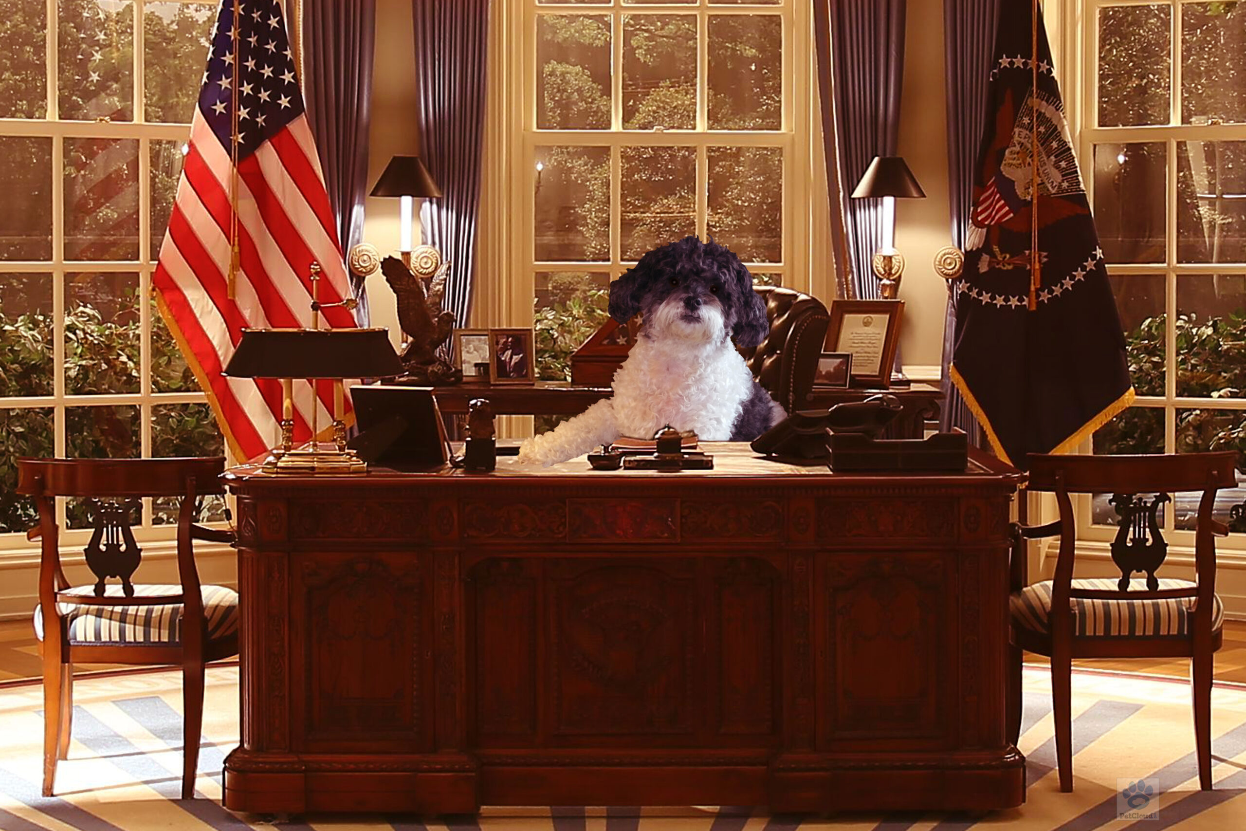 PC - Oval Office v1 - 4x6@600dpi - David, Brandon & CB