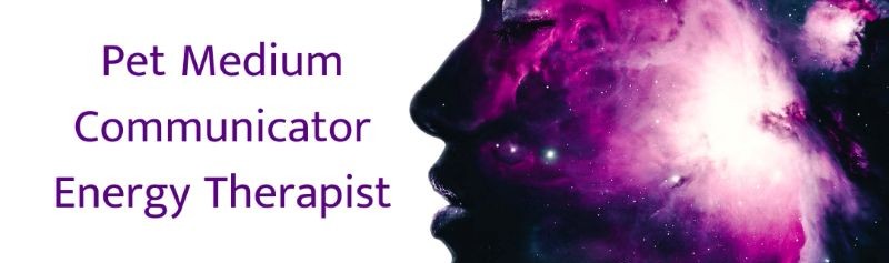 Holly Starr - Animal Communicator